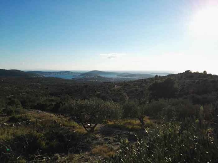 Wooded hills with a view of the sea
