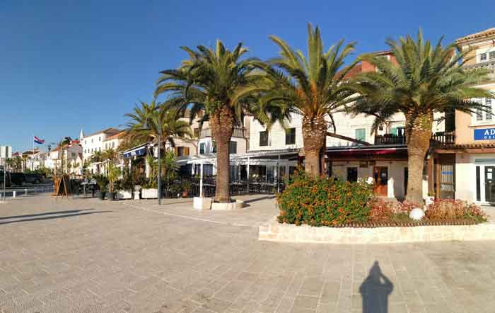 Palm trees on the promenade with cafés